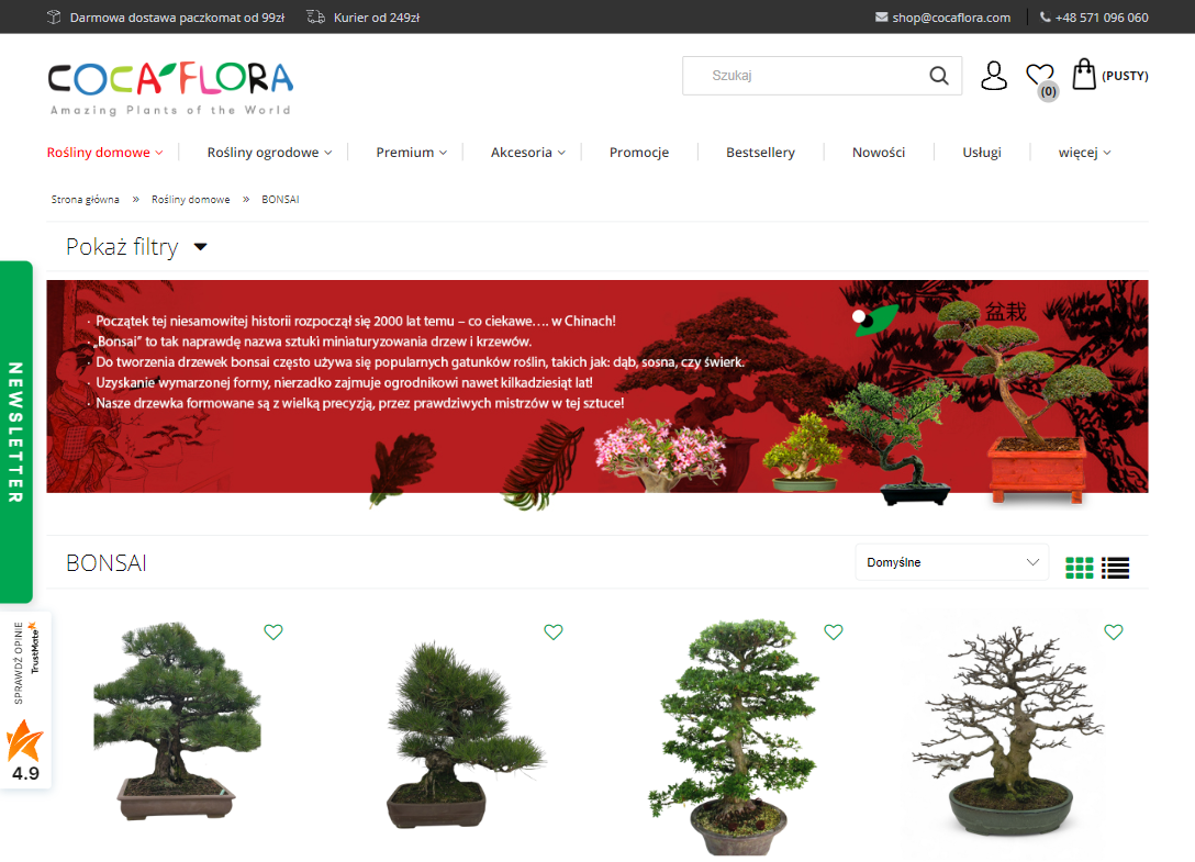 Bonsai dla początkujących – jak zacząć przygodę z miniaturowymi drzewkami?